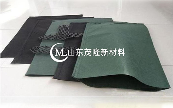 生態(tài)袋/土工布袋 第1張