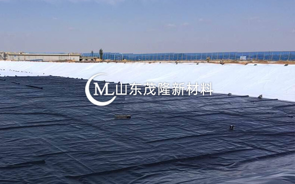 《衡水主城區(qū)生態(tài)修復(fù)工程》土工布、復(fù)合土工布施工