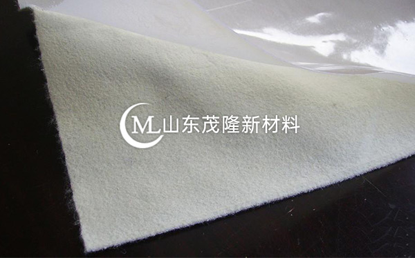 復合土工膜產(chǎn)品演示圖1