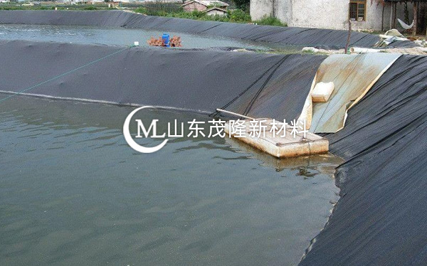 魚(yú)塘防滲膜產(chǎn)品演示圖3