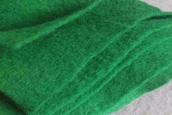 探究綠色土工布的實際效能與應(yīng)用案例  第2張