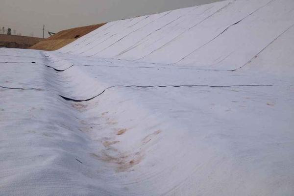 如何在土工布施工中實(shí)現(xiàn)環(huán)保與效益的雙重平衡  第1張