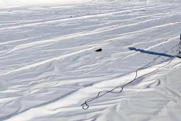 土工布能否抵御日曬對(duì)其產(chǎn)生的影響？  第1張