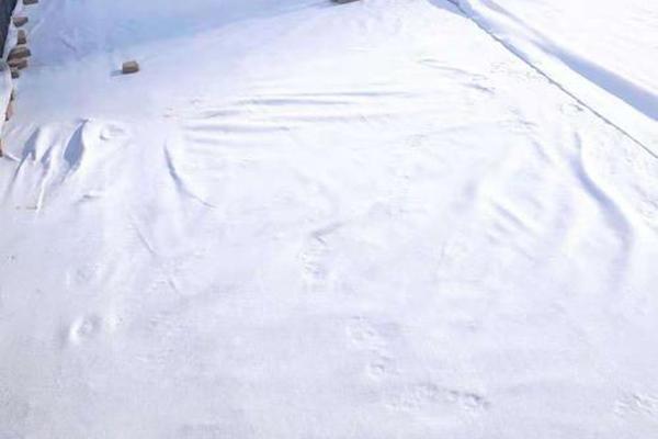 揭秘土工布：它到底有毒嗎？  第1張