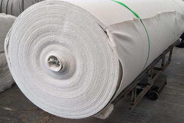 土工布能否替代卷材中的無(wú)紡布？  第1張