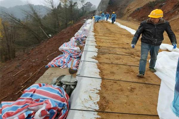 高強加筋土工布隔離層  第3張