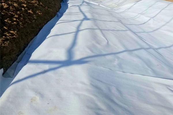 土工布可以防潮嗎  第1張